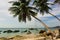 Paradise empty beach palm trees Thailand