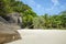 Paradise green jungle and big stones. Tropics. Sand shore, rocks and many plants.