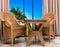 Paradise hotel window palm tree furniture rattan