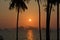 Paradise islands sunset tropical coconut trees