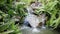 Paradise jungle forest with beautiful waterfall of Erawan park in Koh Samui. Thailand. Emerald pond and exotic plants