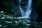 Paradise jungle forest with beautiful waterfall in green lush of Erawan park in Kanchanaburi, Thailand. Emerald pond and