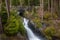 Paradise river and bridge near Narada Falls at Mount Rainier National Park in Washington State during summer