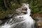 Paradise River at Mount Rainier National Park