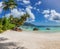 Paradise Sunny beach with coco palms on sandy beach and blue sea.