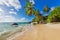 Paradise Sunny beach with coco palms on sandy beach and blue sea.