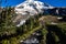 Paradise trail in Mount Rainier National Park, Washington, USA