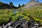 Paradise trail in Mount Rainier National Park, Washington, USA