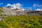 Paradise trail in Mount Rainier National Park, Washington, USA