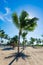 Paradise tropical beach palm
