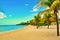 Paradise tropical beach palm caribbean dominican