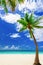 Paradise tropical beach palm the Caribbean Sea