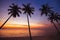 Paradise tropical beach at sunset, exotic landscape