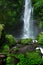 Paradise Waterfall, Bali. Nature Beauty Landscape Background