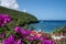 Paradisiac Caribbean landscape with the famous Anse Dufour in Martinique