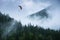 Paraglide silhouette above the cloudy carpathian forest