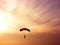 Paraglider