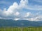 Paraglider above a vineyard in Rose Valley  Bulgaria