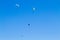 Paraglider on blue sky, Borso del Grappa, Italy