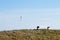 Paraglider on blue sky with empty bench on foreground