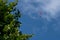 Paraglider flies in the air -Aerial view of paraglider.