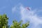 Paraglider flies in the air -Aerial view of paraglider.