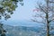 Paraglider flies in the air -Aerial view of paraglider.