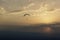 Paraglider flies in the clouds at sunset,  blur