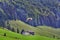 Paraglider flying over green slopes. Swiss Alps.