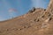 Paraglider flying over mountains