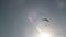 Paraglider flying to sun