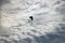 Paraglider glides through the air in cloudy weather