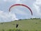 Paraglider landing wing in a meadow