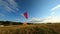Paraglider lands on the green field, paraglider folds