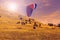 Paraglider over the green valley, sunset sky