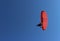 Paraglider and a passenger on a red paraglider with a motor are flying