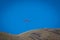 Paraglider With Red Parachute Wing Flying in a Blue Sky With Clouds