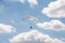 Paraglider seen from below alone in the sky