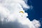 Paraglider Storm Clouds Blue