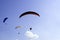 Paragliders