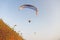 Paragliders against the blue sky. Bright paragliders fly in the