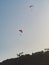 Paragliders flying in blue sky