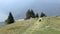 Paragliders landing and taking off from mountain slope near Locarno