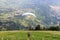 Paragliders start Paragliding in front of Merano panaroma in South Tyrol