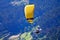 Paragliding