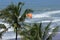 Paragliding athlete preparing landing on Parangtritis beach under the sunny weather