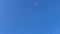 Paragliding on blue sky background
