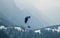 Paragliding flights at Pinzolo Ski Resort in Val Rendena in Trentino