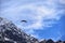 Paragliding in a Mountain covered with snow