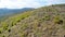 Paragliding over the mountain edge